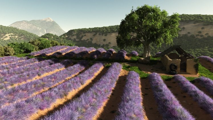 art, Field, Flowers, Lavender, Lilac, Buildings, Trees, Hills, Rows, Mountains HD Wallpaper Desktop Background