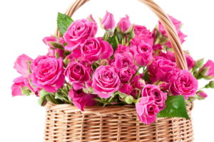 bouquet, Pink, Beautiful, Flowers, Roses