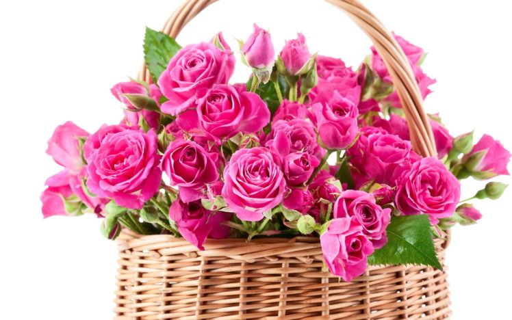 bouquet, Pink, Beautiful, Flowers, Roses HD Wallpaper Desktop Background