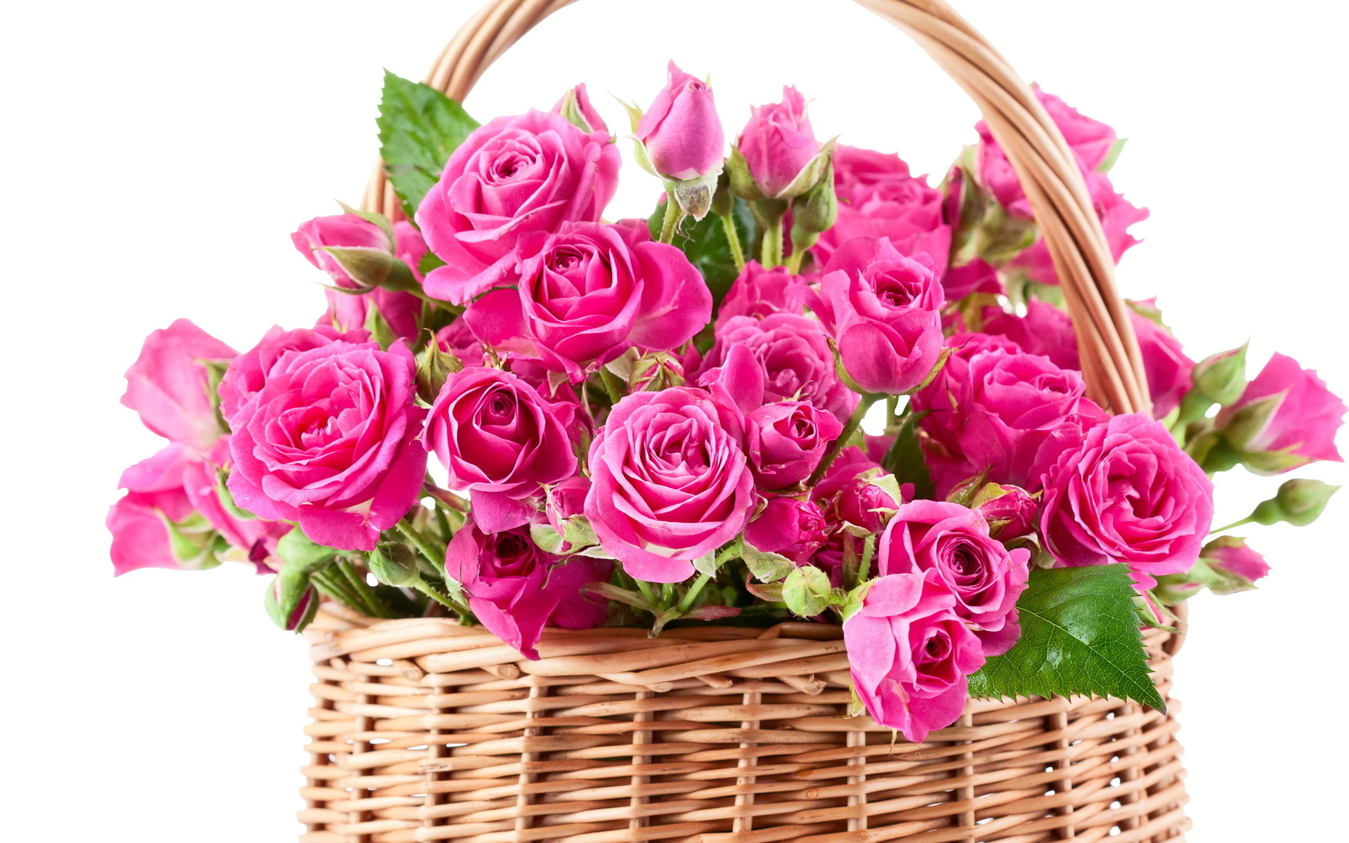 bouquet, Pink, Beautiful, Flowers, Roses Wallpaper