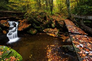 north, Carolina, Nantahala, National, Forest, Autumn, Bridge, River, Waterfall
