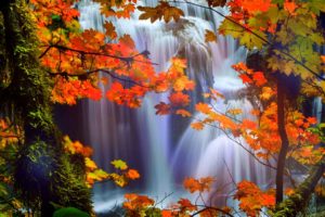 attractions, In, Dreams, Trees, Nature, Fall, Leaves, Beautiful, Waterfalls, Scenery, Love, Four, Seasons, Creative, Pre made, Colors, Stunning, Falls, Landscapes, Autumn