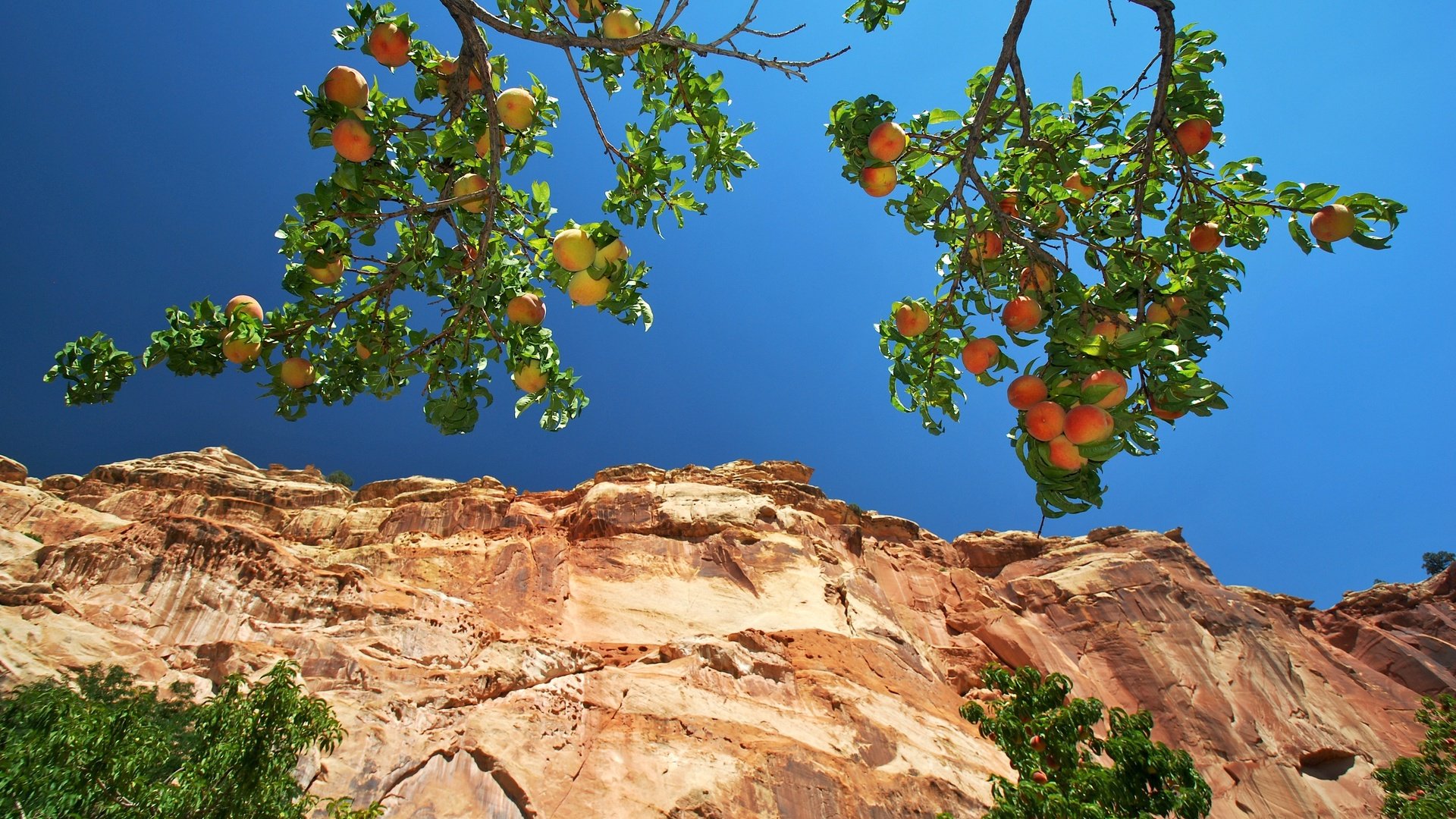 nature, Fruit, Sky, Roocks Wallpaper