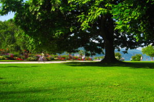 parks, Austria, Carinthia, Klagenfurt, Grass, Trees, Green, Foliage, Nature