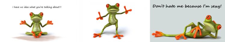 humour,  , Frog HD Wallpaper Desktop Background