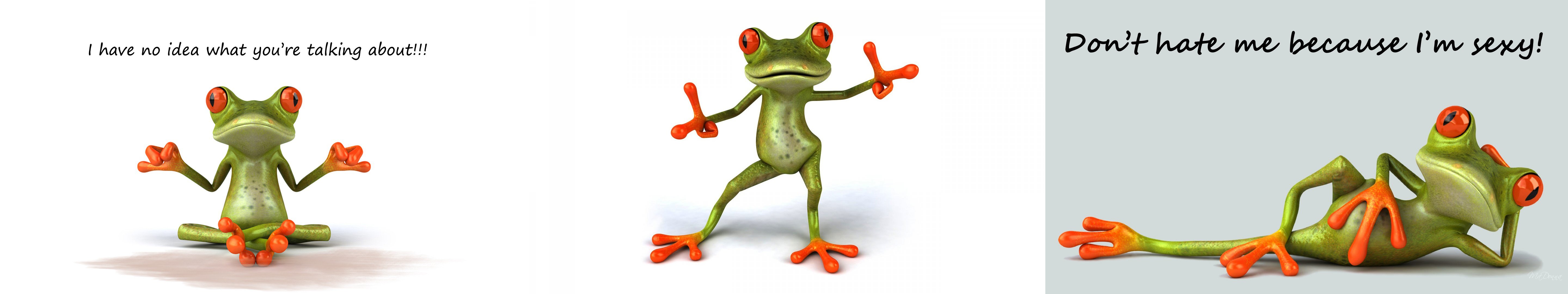 humour,  , Frog Wallpaper