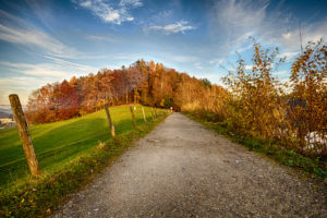 path, Trail, Trees, Fence, Autumn, Roads