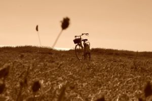 field, Bike, Mood, Bicycle, Landscapes, Sepia, Grass, Sky