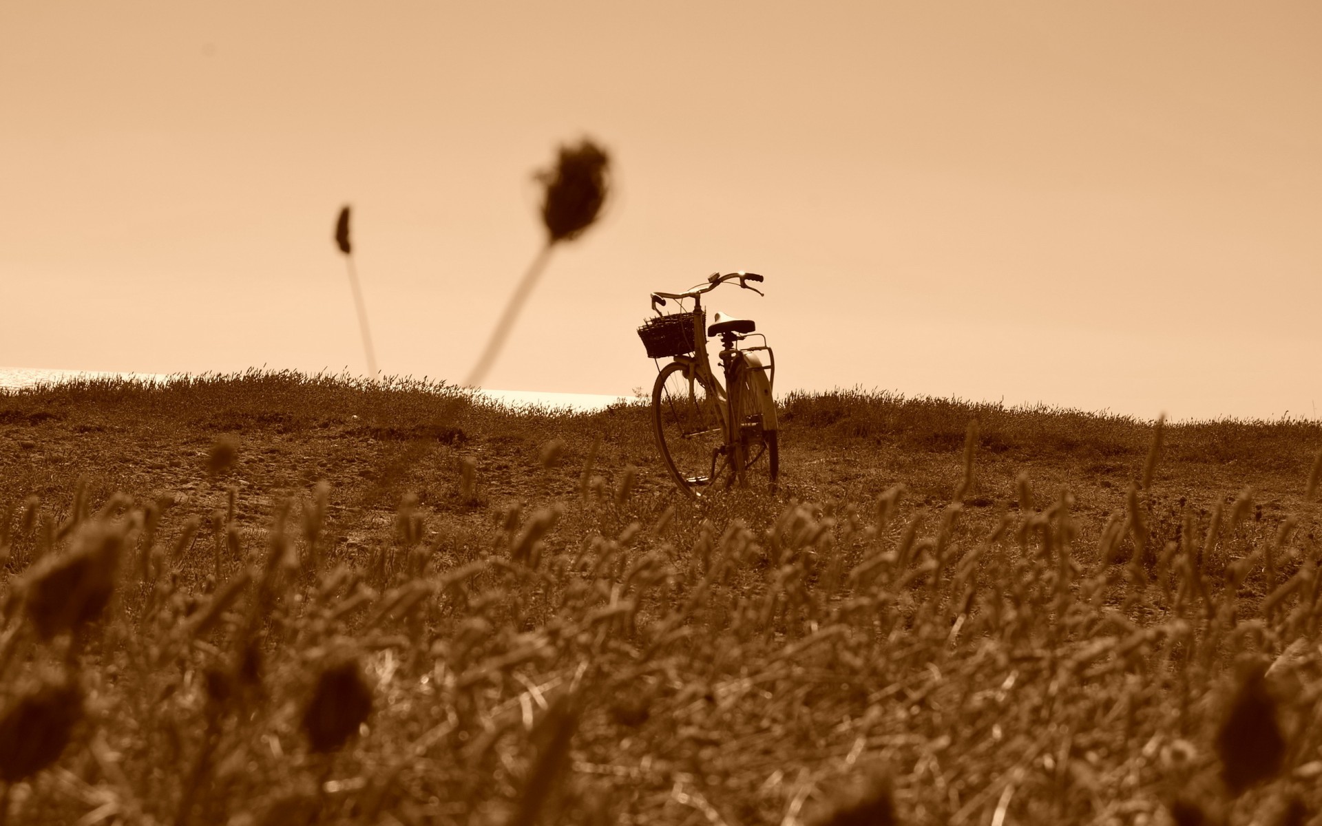 field, Bike, Mood, Bicycle, Landscapes, Sepia, Grass, Sky Wallpaper