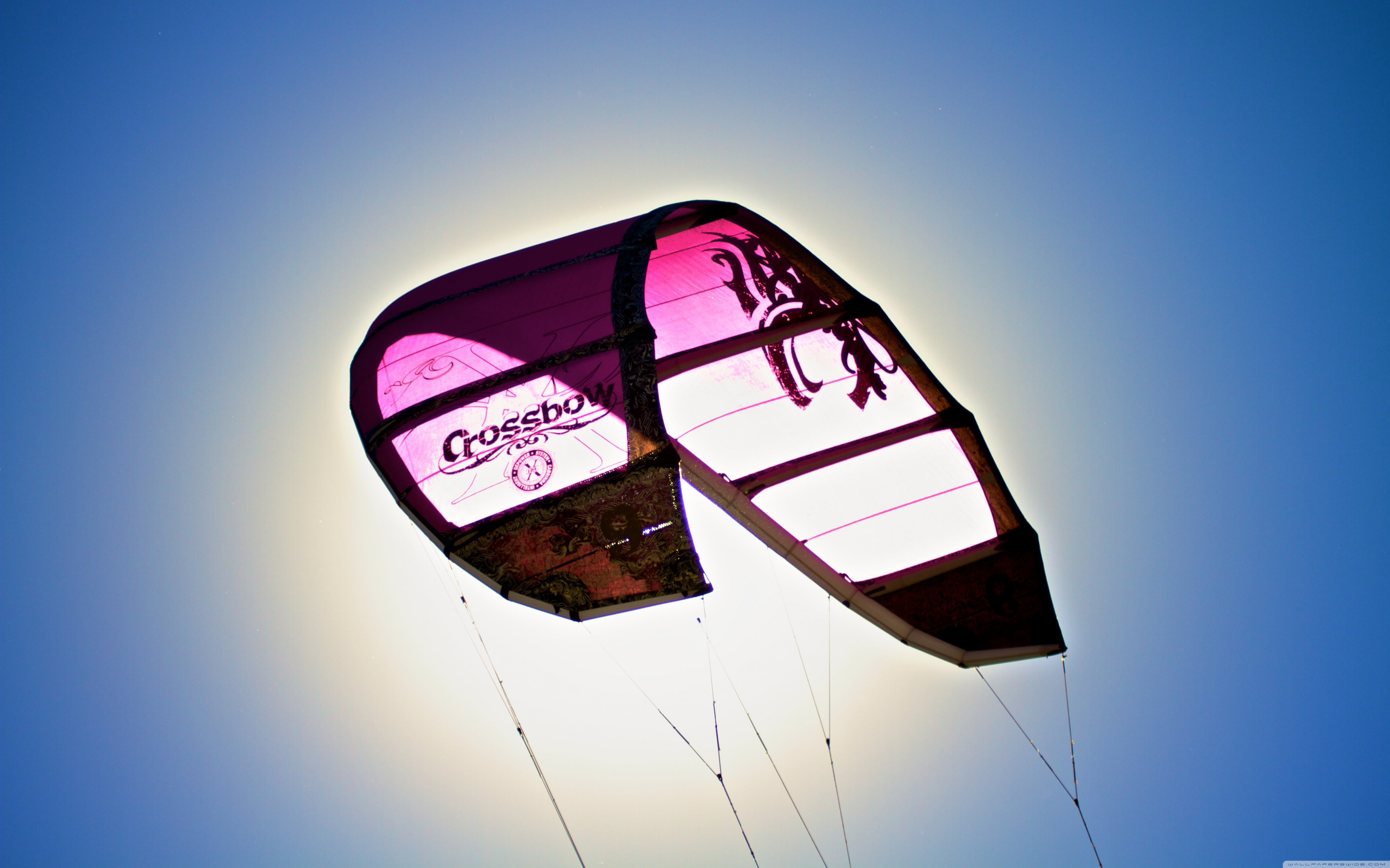 silly, Guy, Kites, Are, For, Kids wallpaper 5120x3200 Wallpaper