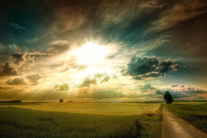 plains, Fields, Grass, Road, Tree, Sky, Clouds, Sun, Rays, Light, Dawn, Sunset, Landscapes, Sunlight, Fields