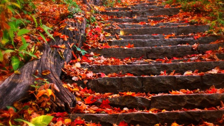 autumn, Steps, Fall, Foliage, Leaves HD Wallpaper Desktop Background