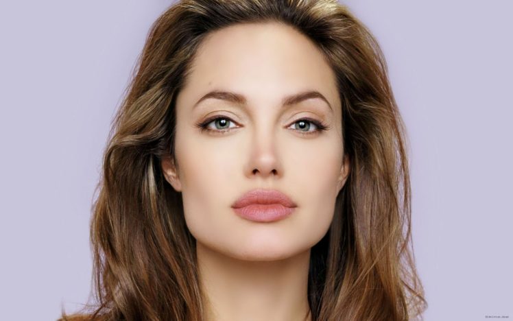 angelina, Jolie, Actress, Woman, Beautiful, Beauty, Model, Brunette HD Wallpaper Desktop Background