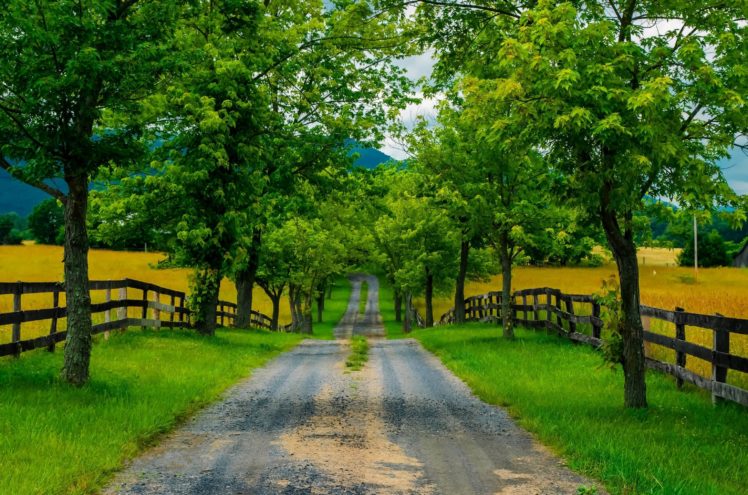 road, Trees, Fence, Field, Landscape HD Wallpaper Desktop Background