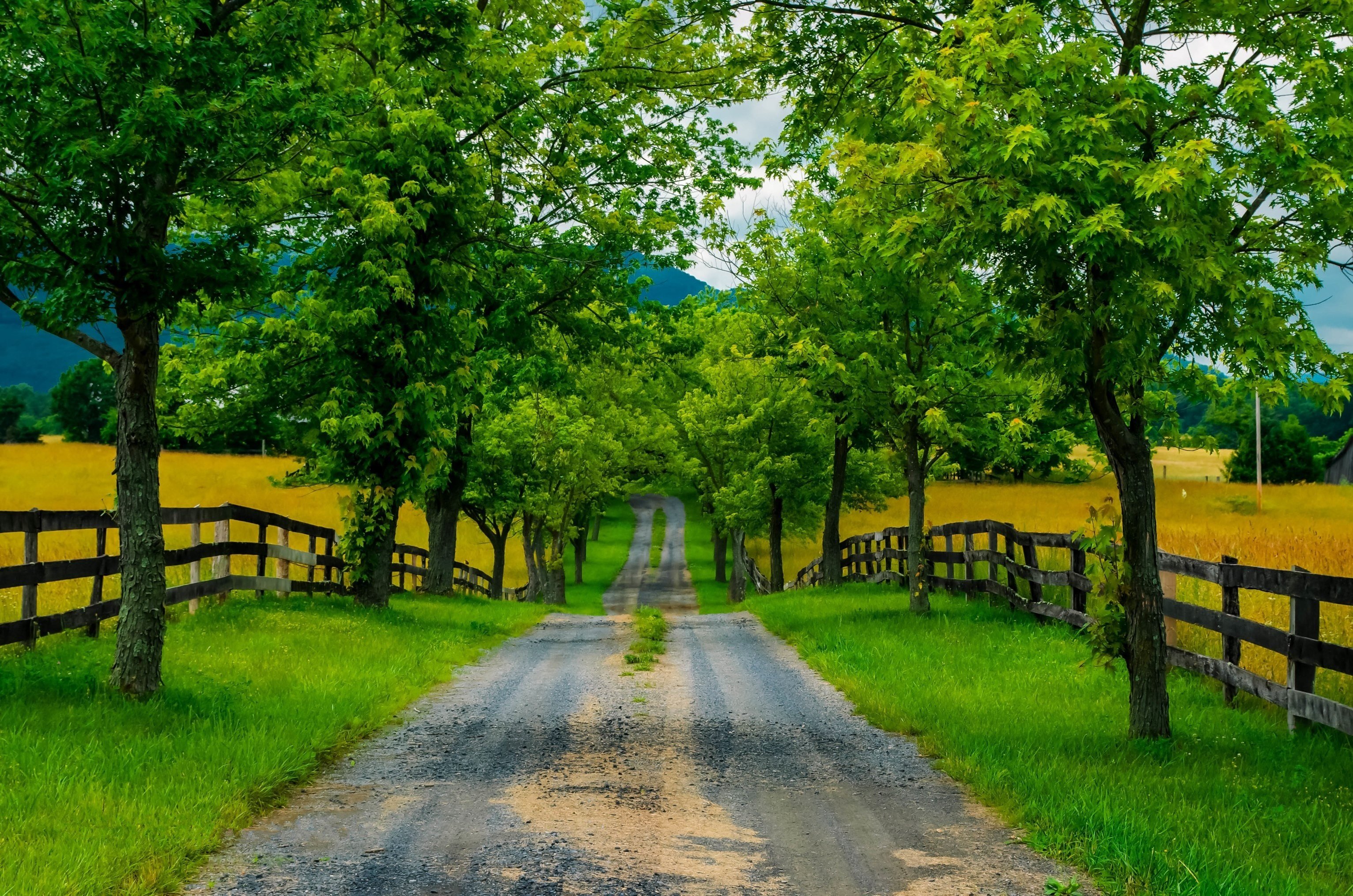 road, Trees, Fence, Field, Landscape Wallpaper