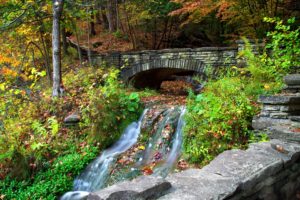 autumn, Forest, Trees, River, Creek, Bridge, Nature