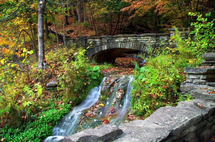 autumn, Forest, Trees, River, Creek, Bridge, Nature HD Wallpaper Desktop Background