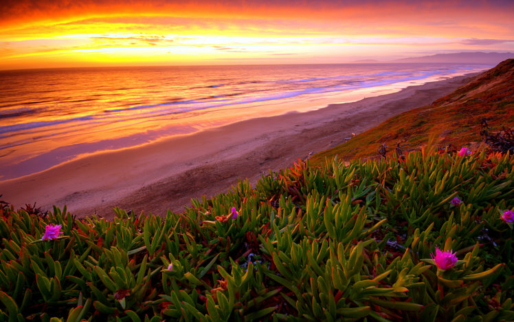 beach, Ocean, Sunset, Plant, Flowers, Shore, Coast, Sea, Waves, Sky, Clouds, Landscapes, Hills HD Wallpaper Desktop Background