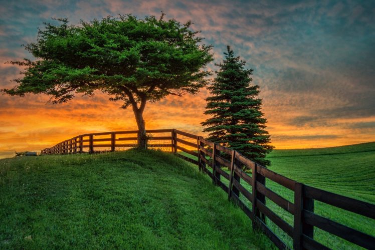 summer, Fence, Tree, Sunset, Field, Landscape HD Wallpaper Desktop Background