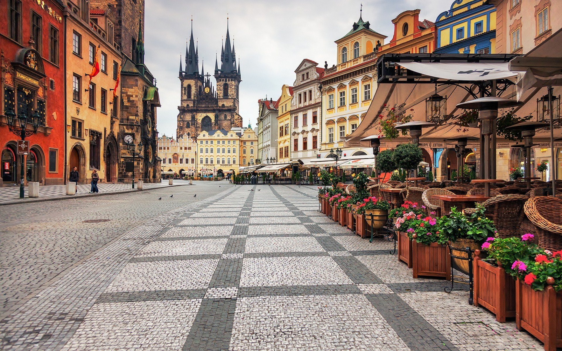 landscape, City, Prague, Flower, Street Wallpaper