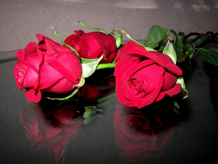 roses, Red, Flowers, Valentineand039s, Day, Reflection HD Wallpaper Desktop Background