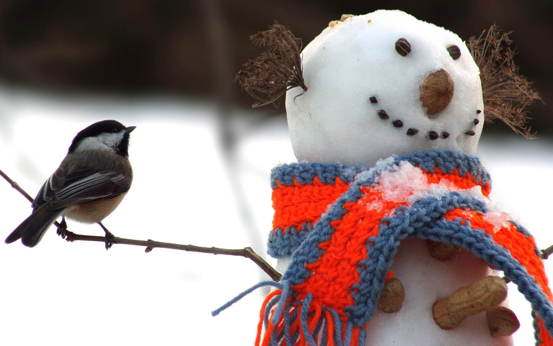 holiday, , Christmas, Bird, Snow, Winter, Snowman Wallpapers HD