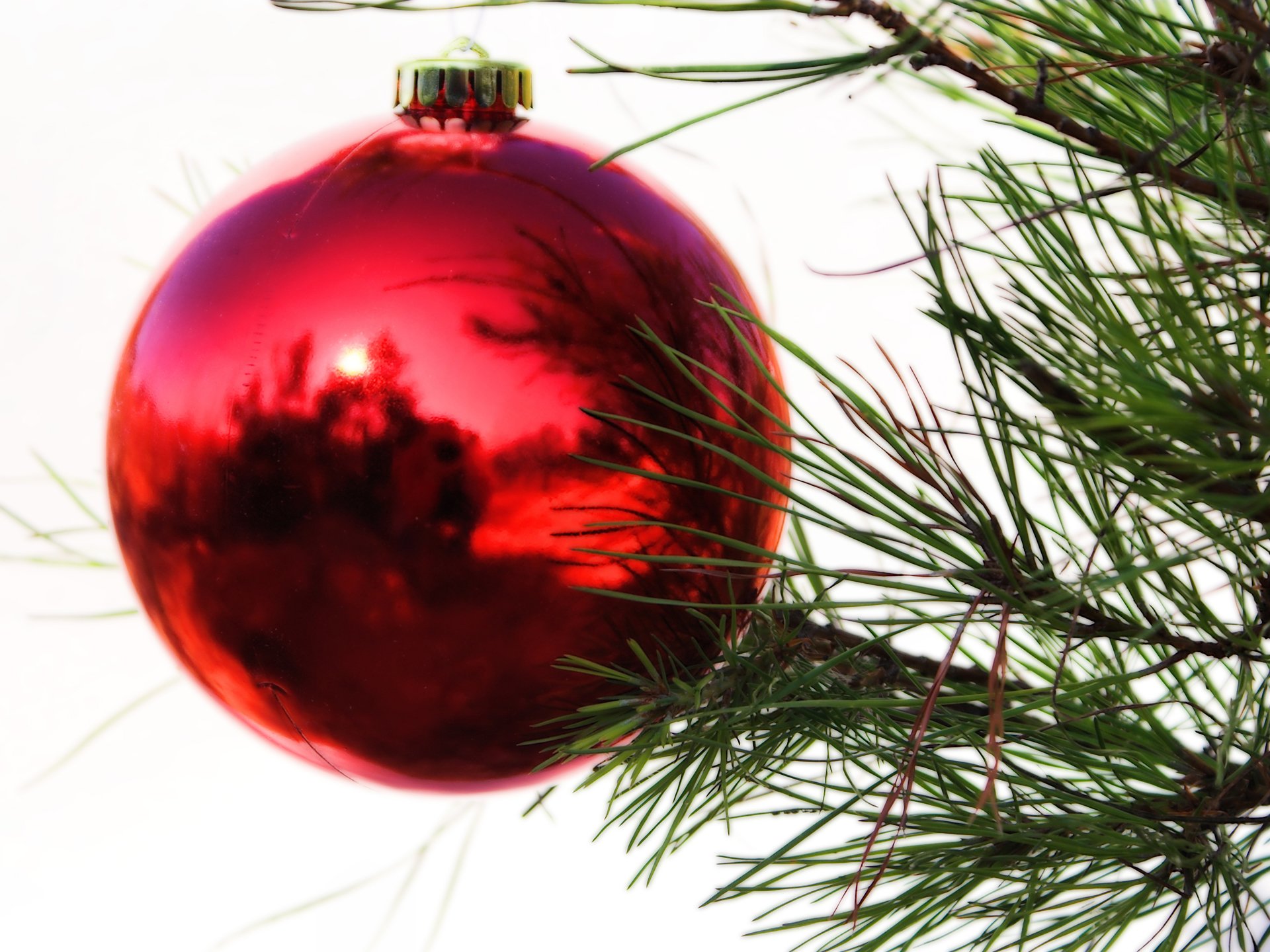 merry, Christmas, Holiday, Vacation, Gifts, Tree, Happy, Beautiful, Santa, Snowman, Lights Wallpaper