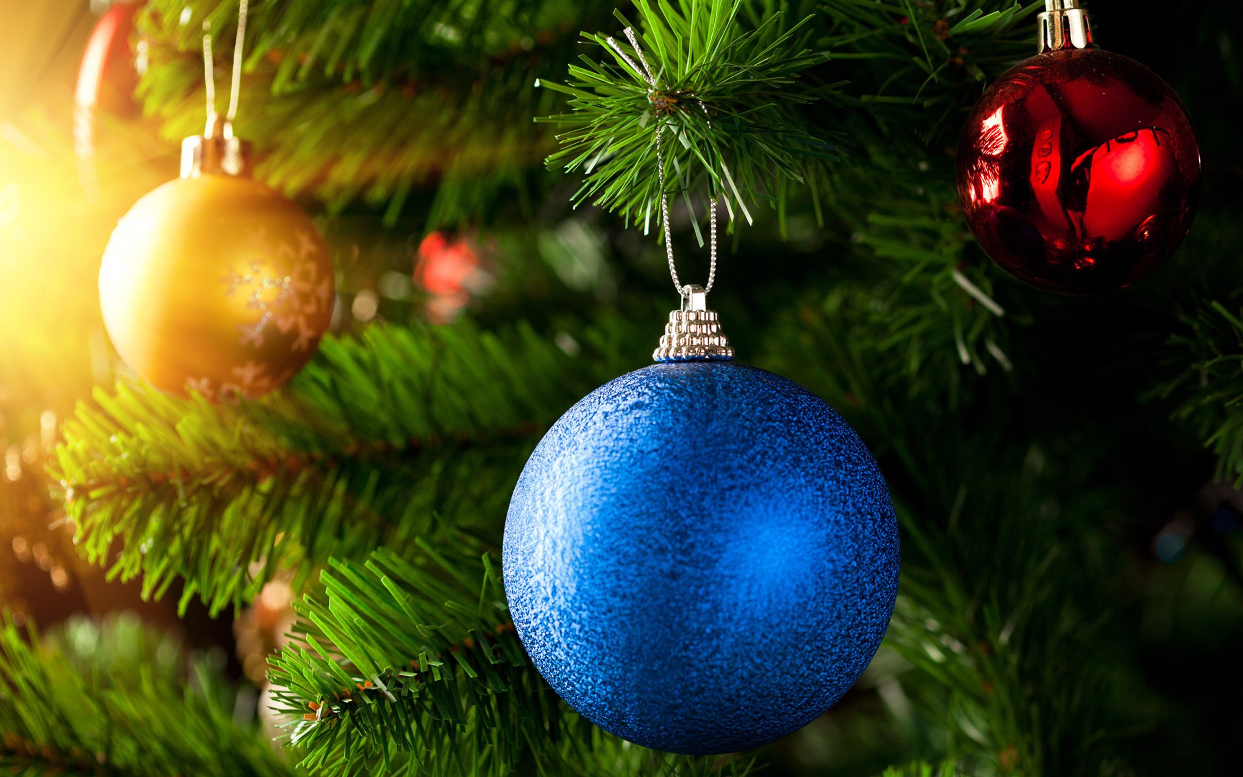 merry, Christmas, Holiday, Vacation, Gifts, Tree, Happy, Beautiful, Santa, Snowman, Lights Wallpaper