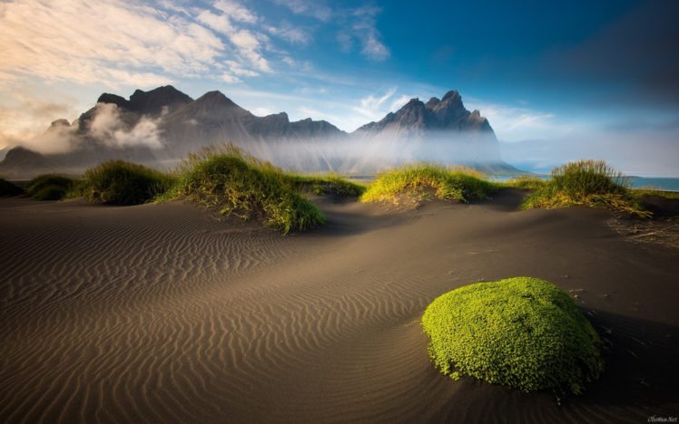desert, Gunes, Beach, Sand, Grass, Fog, Ocean, Sea HD Wallpaper Desktop Background