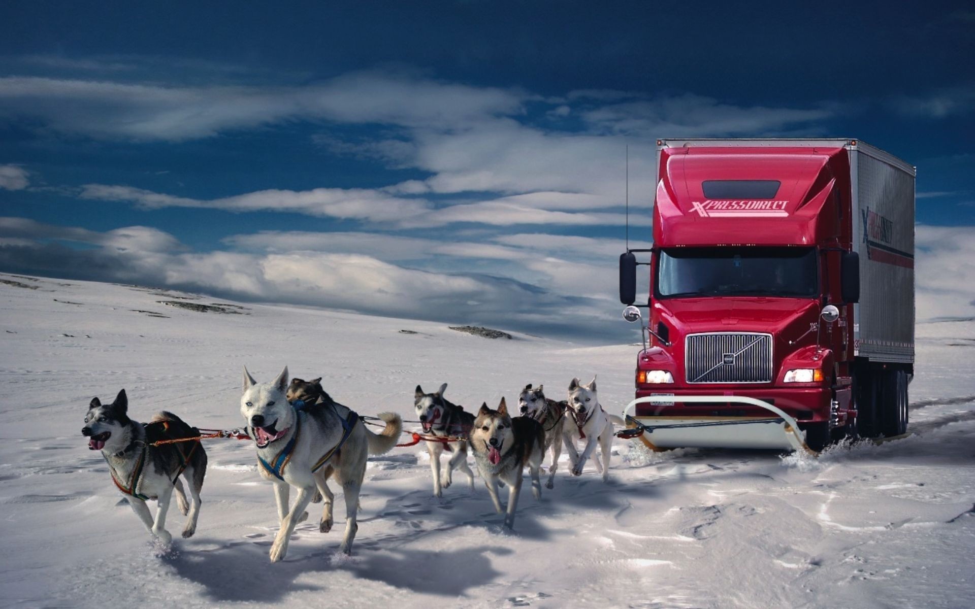 winter, Snow, Cars, Humor, Dogs, Trucks, Wolves Wallpaper