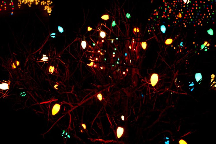 christmas, Lights, Holiday, Christmas, Tree HD Wallpaper Desktop Background