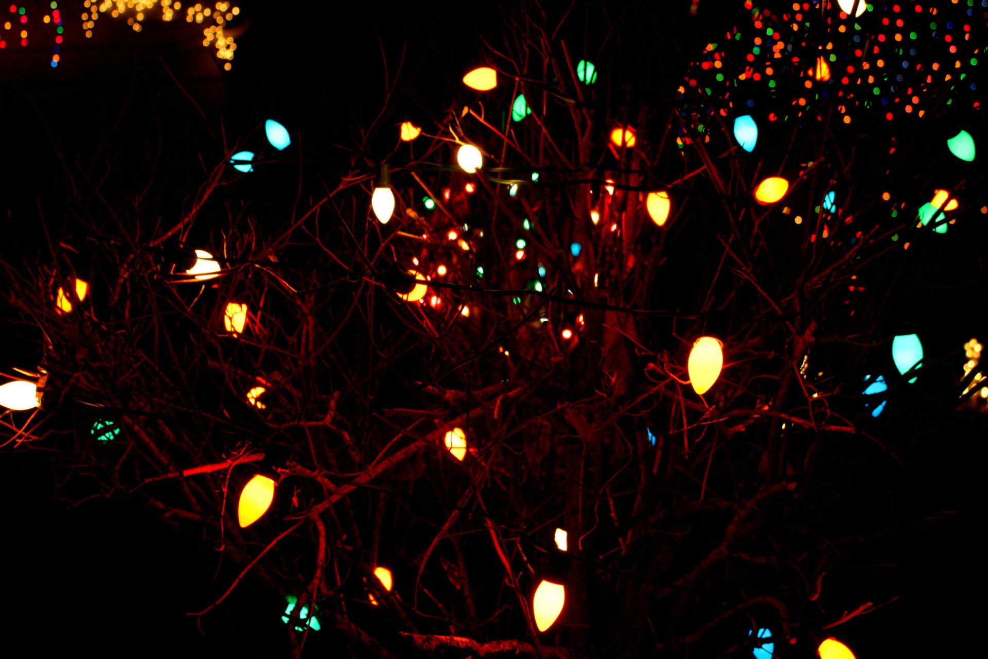 christmas, Lights, Holiday, Christmas, Tree Wallpaper
