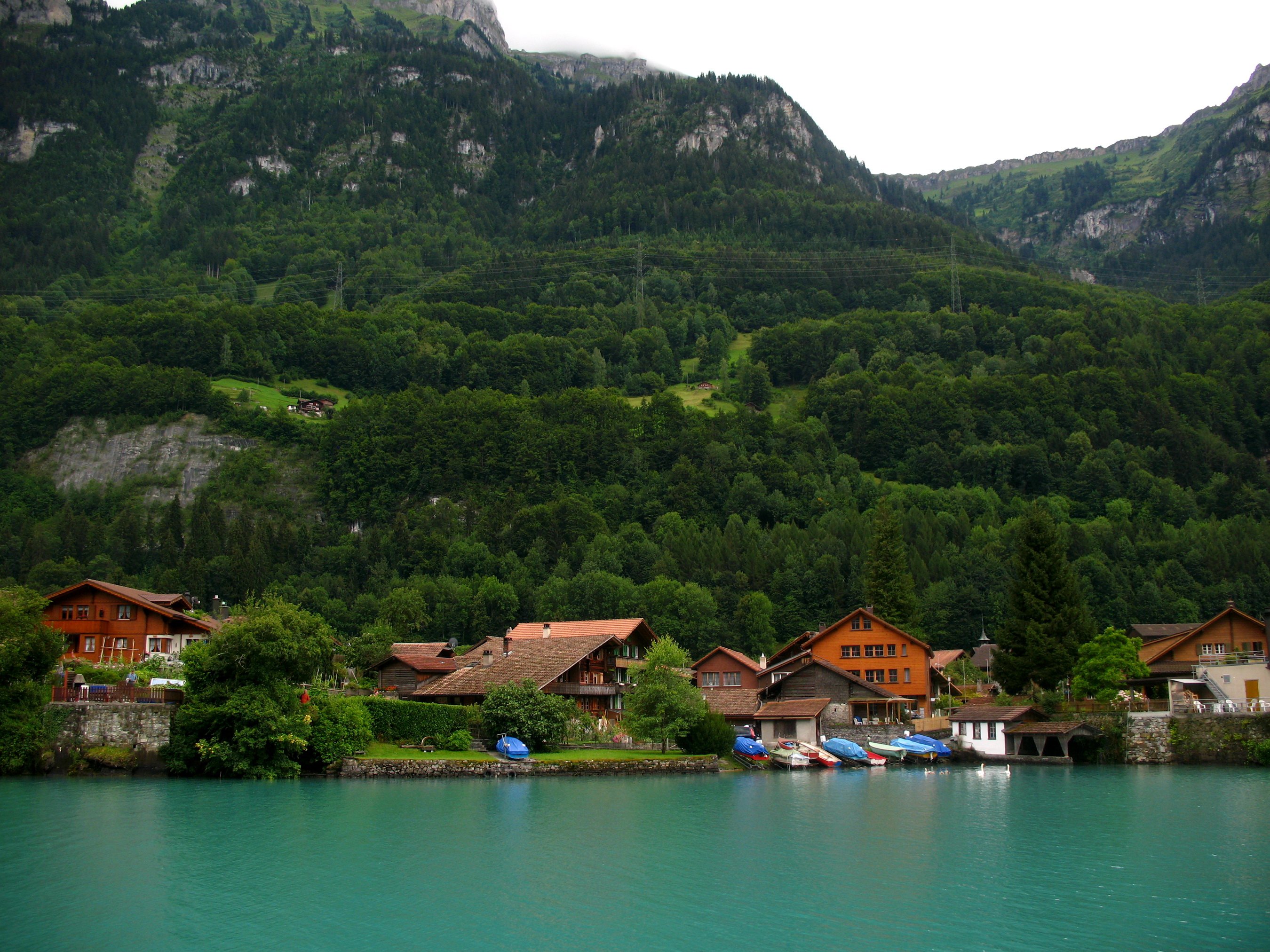 somewhere, In, Switzerland, Mountain, Lake, Houses, Forest, Trees Wallpaper