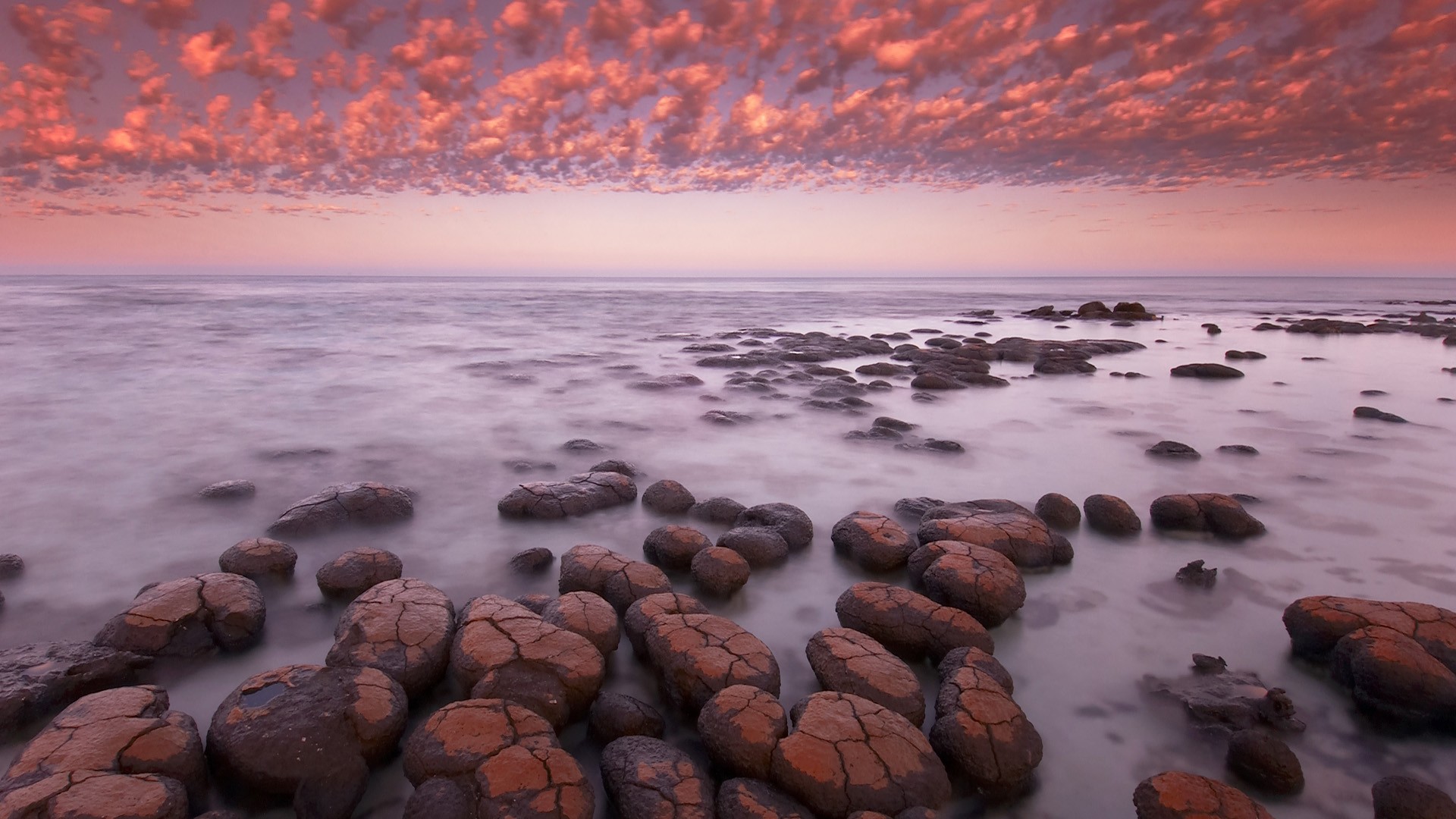 dawn, Sharks, Western, Australia, Bay Wallpaper