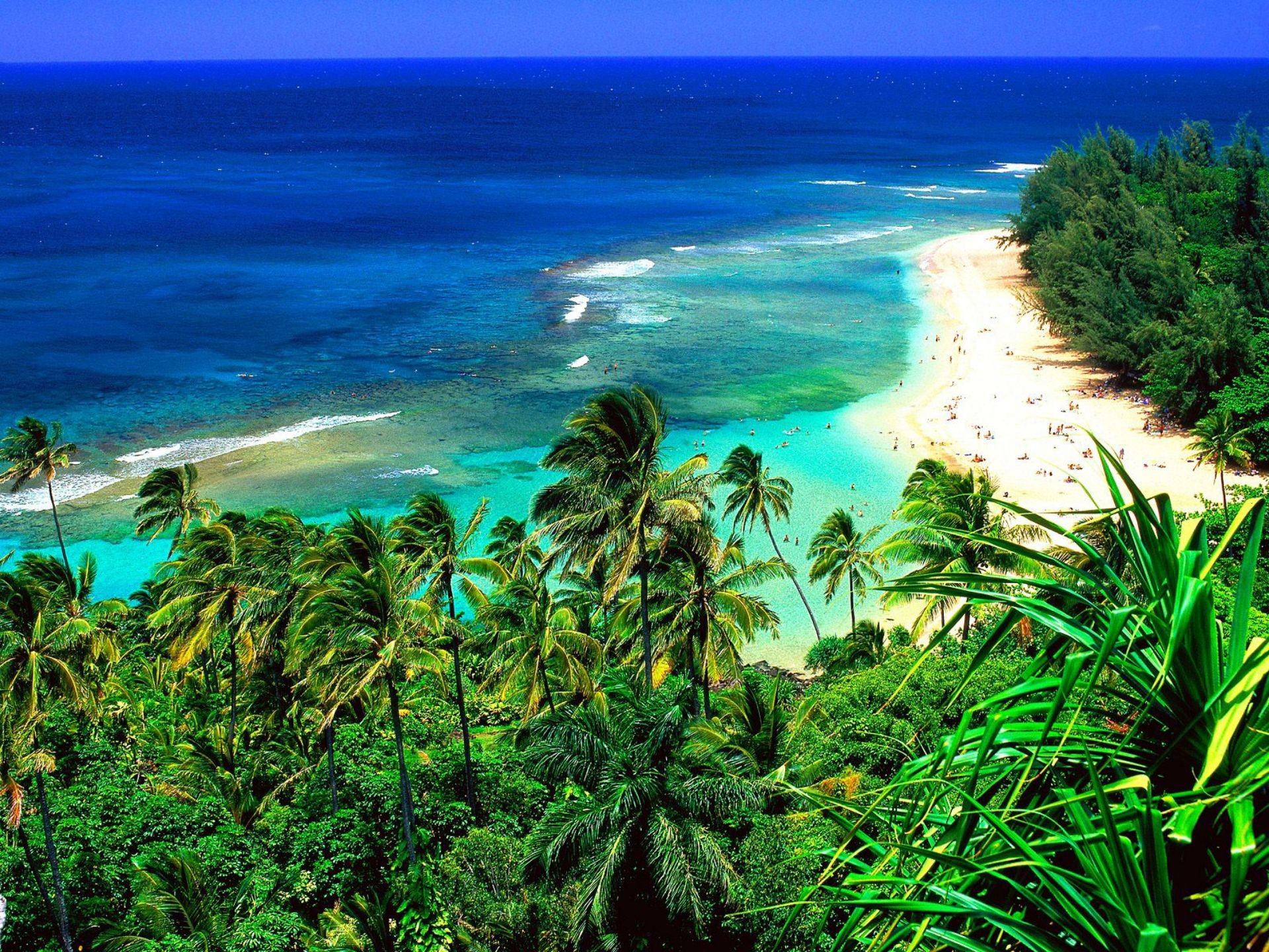 landscapes, Nature, Beach, Hawaii Wallpaper
