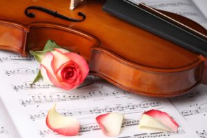 music, Violins, Instruments, Notes, Flower, Petals