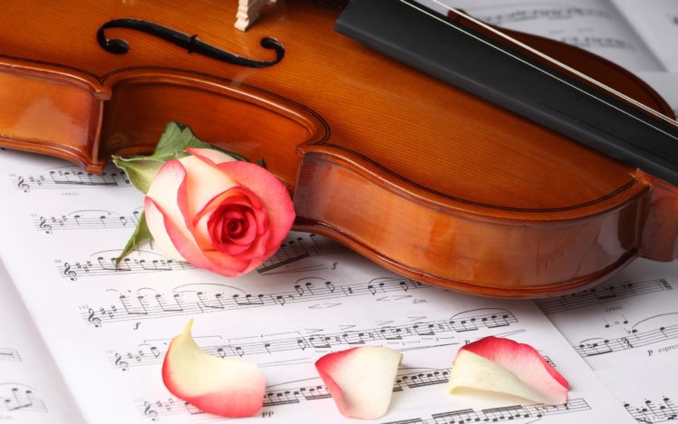 music, Violins, Instruments, Notes, Flower, Petals HD Wallpaper Desktop Background