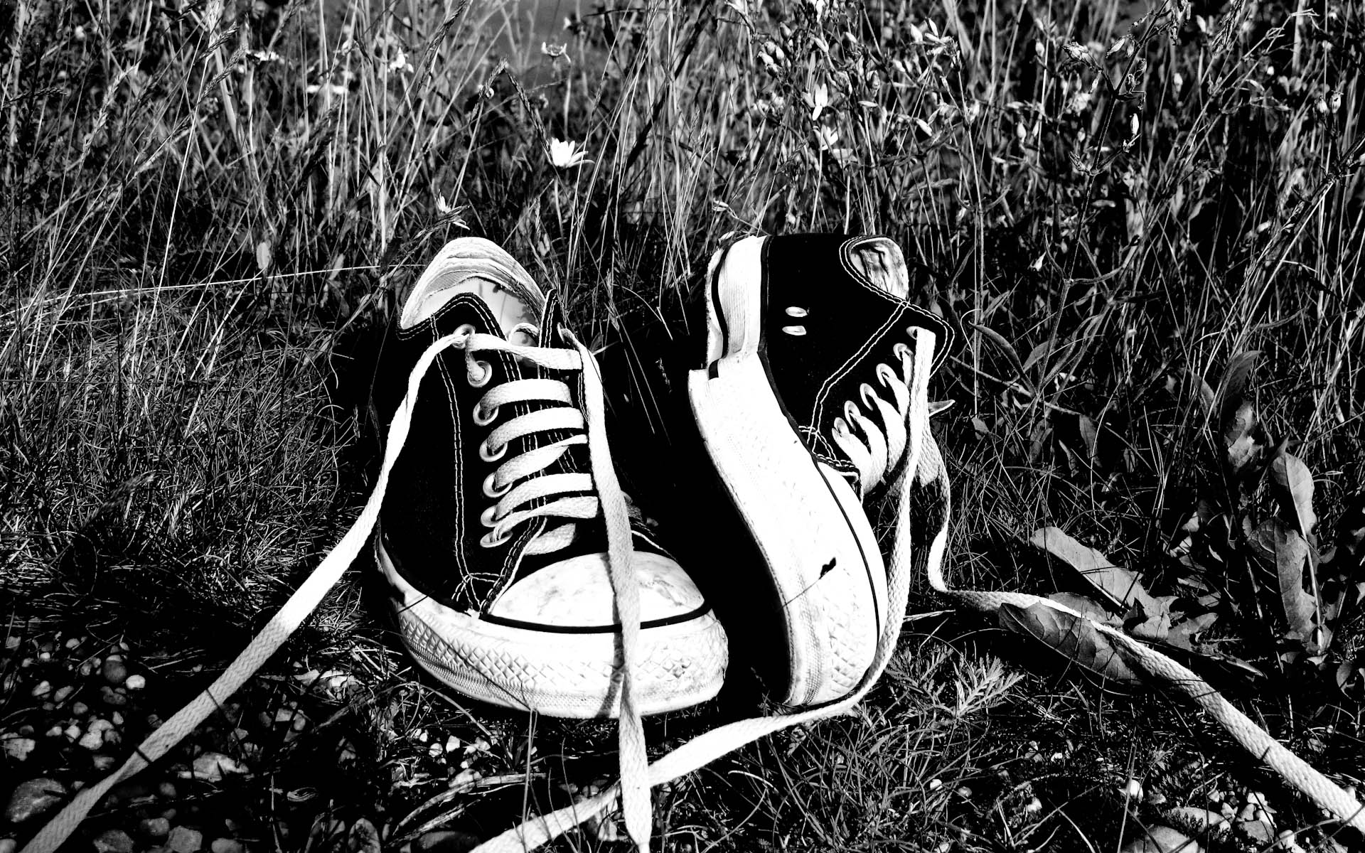 green, Grass, Shoes, Grayscale, Converse, Monochrome, Sneakers Wallpaper