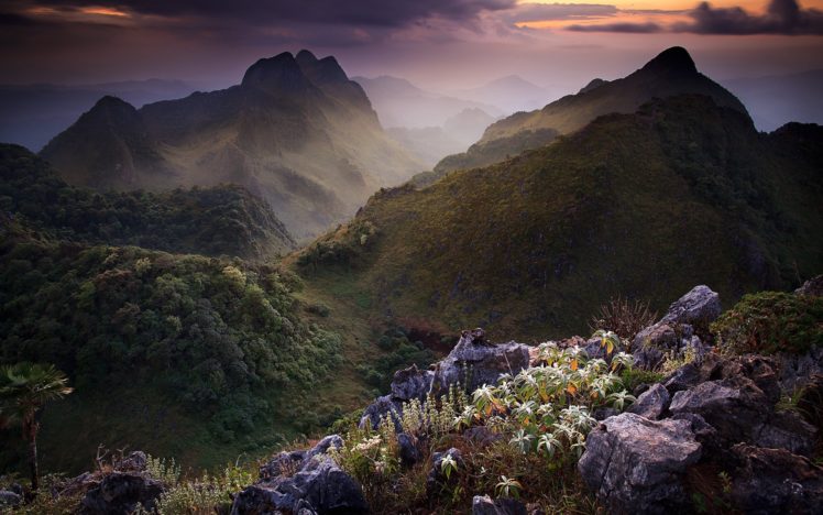 mountains, Landscape, Flowers, Sky, Clouds, Sunset, Haze HD Wallpaper Desktop Background