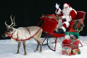 christmas, Holiday, Reindeer
