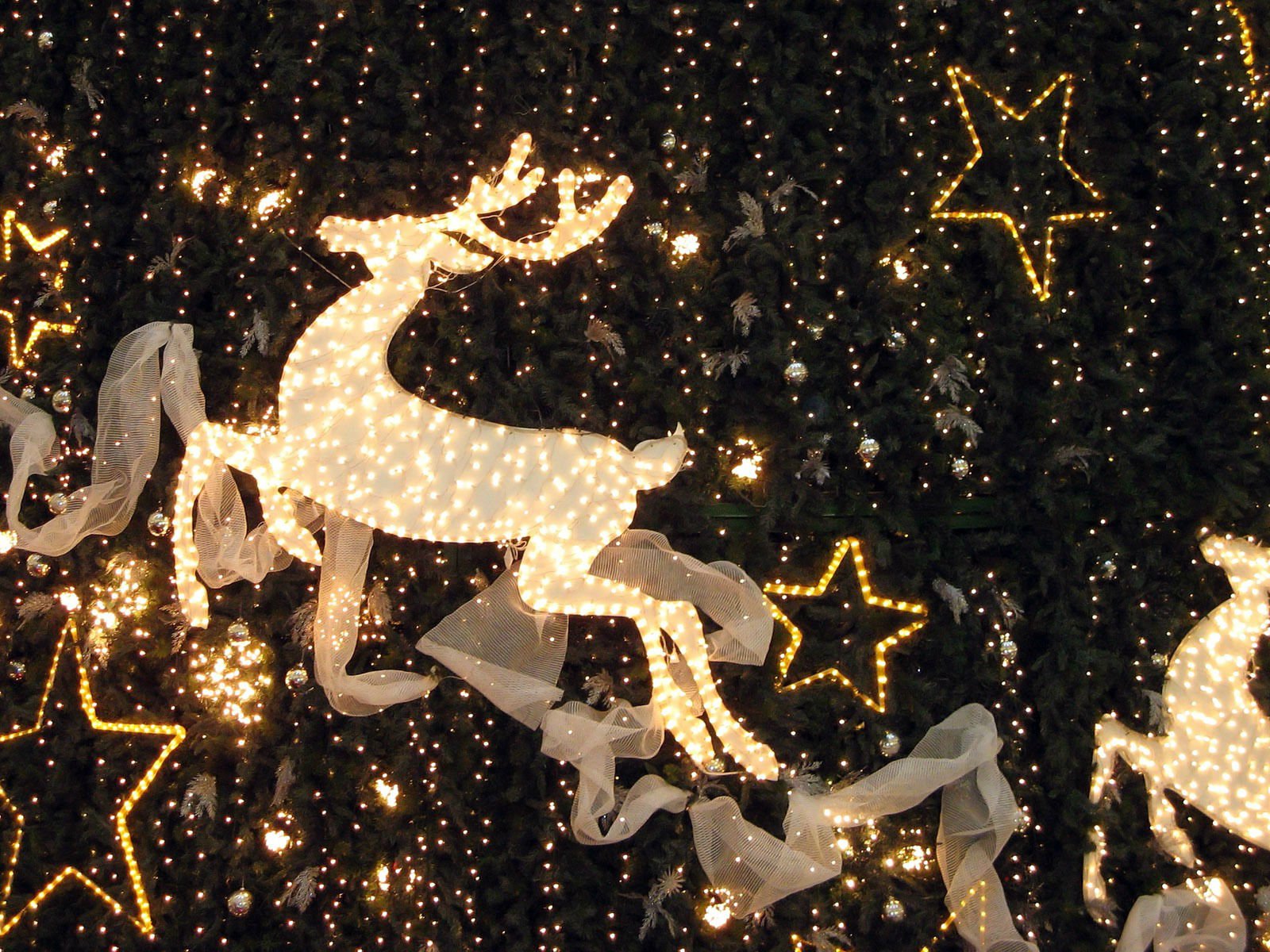 christmas, Holiday, Reindeer Wallpaper