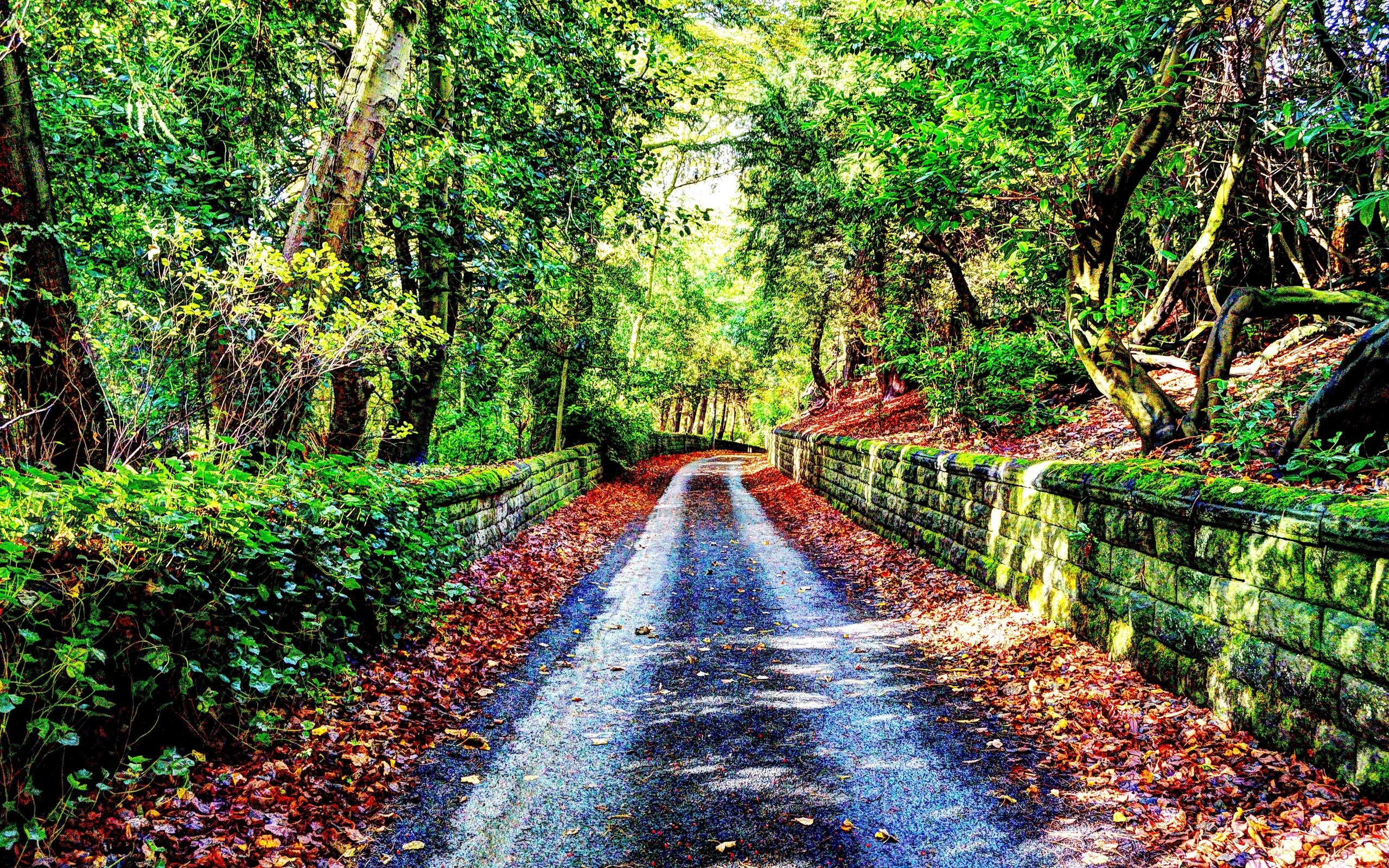 autumn, Road, Trees, Landscape Wallpaper