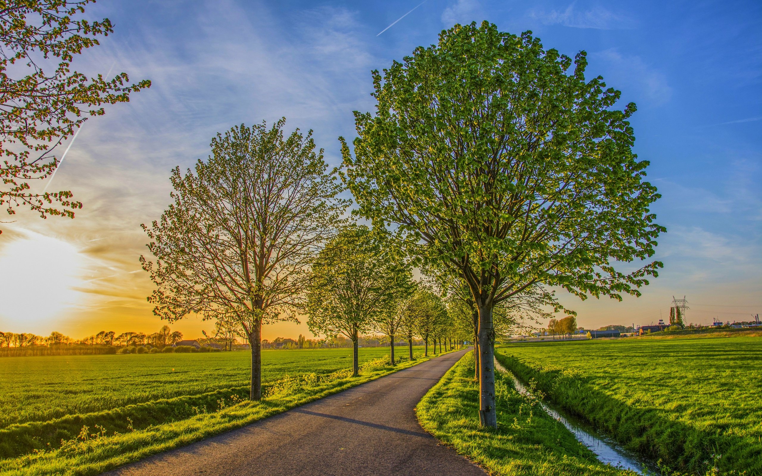 sunset, Field, Road, Trees, Landscape Wallpaper