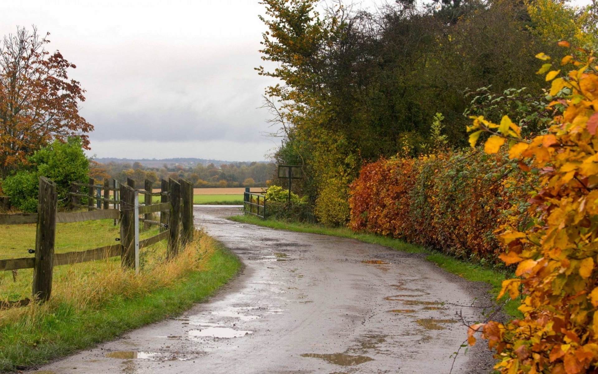 roads, Autumn, Fall, Rain, Wet, Water, Reflection, Fence, Landscapes, Trees Wallpaper