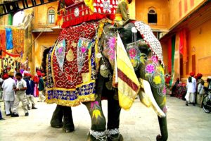 festival, India, Elephants