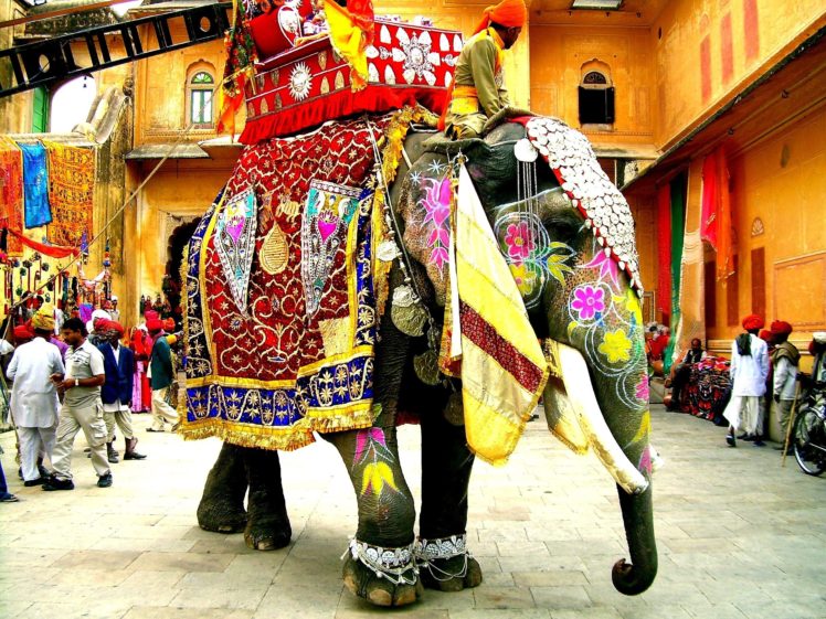 festival, India, Elephants HD Wallpaper Desktop Background