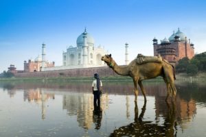 travel, Camels, Rivers, Taj, Mahal, India