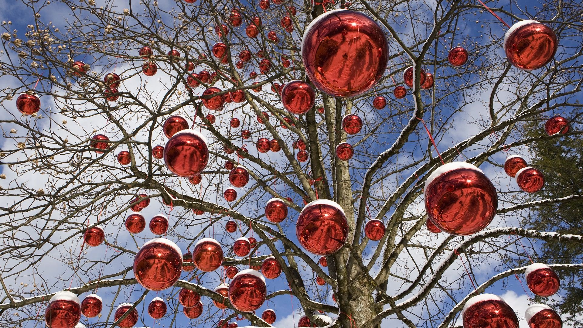 merry, Christmas, Holiday, Winter, Snow, Beautiful, Tree, Gift, Santa Wallpaper