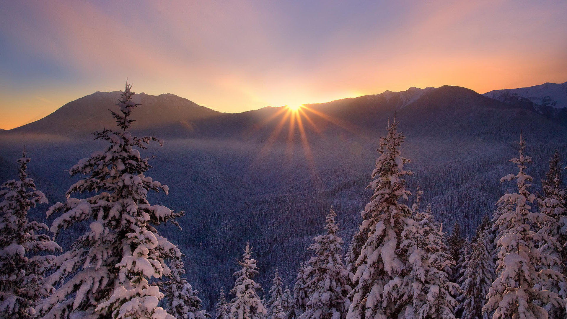 sunset, Winter, Nature, Lesogore, Cold, Beautiful, Trees, Landscapes, Mountains, Sunrise, Sky, Snow, Forest Wallpaper