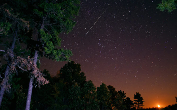 sky, Night, Stars, Comet, Meteor, Sunset, Trees, Space HD Wallpaper Desktop Background
